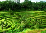 guia español en bali